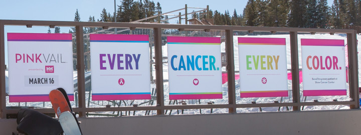 Pink Vail Every Cancer Every Color 5 Panel Signage